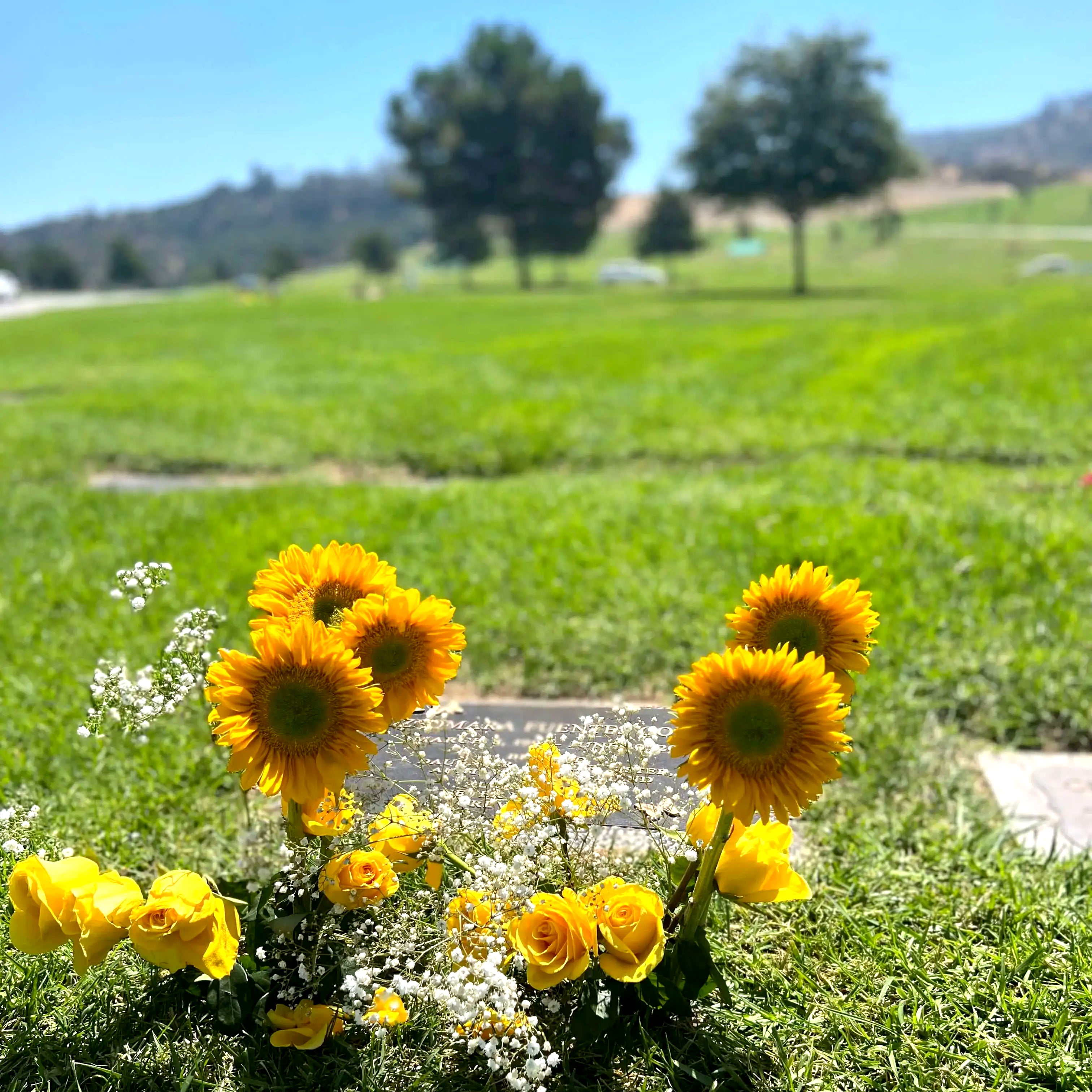 Headstone Cleaning & Flowers