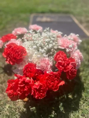 Add Carnations